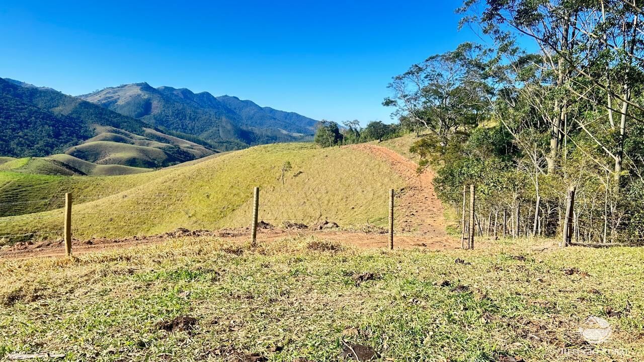 Chácara, 10 hectares - Foto 7