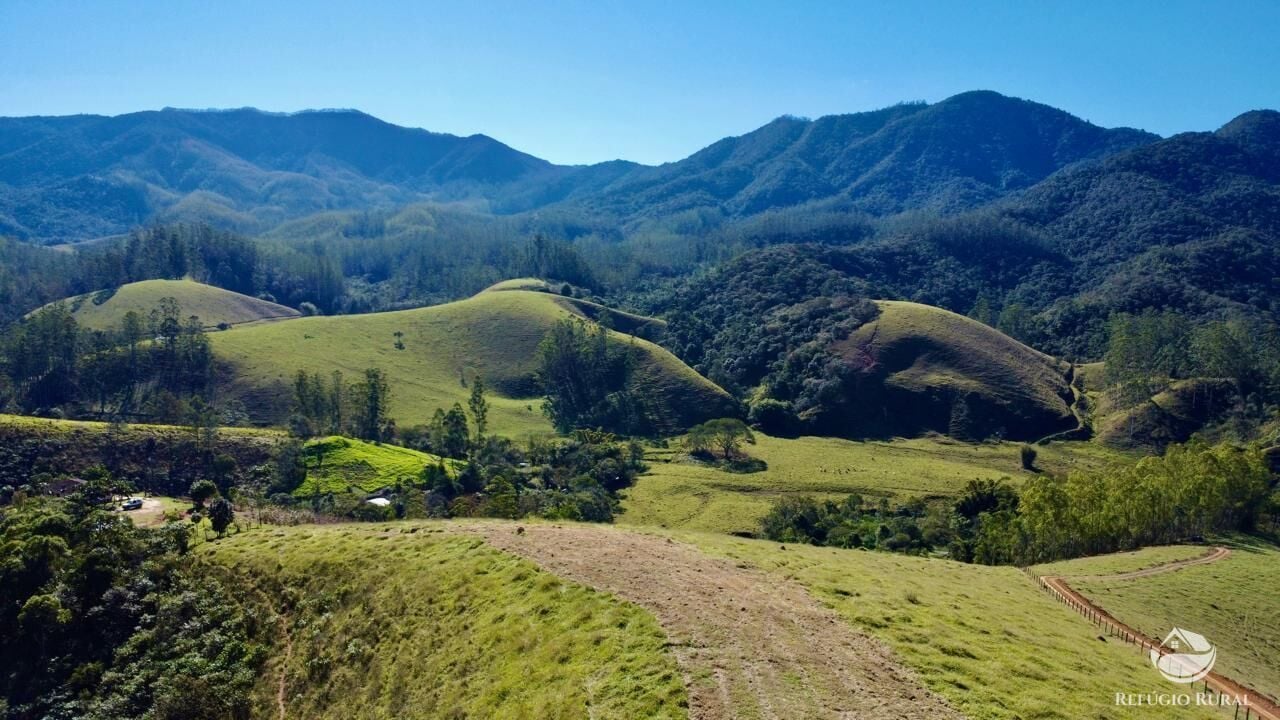 Chácara, 10 hectares - Foto 15