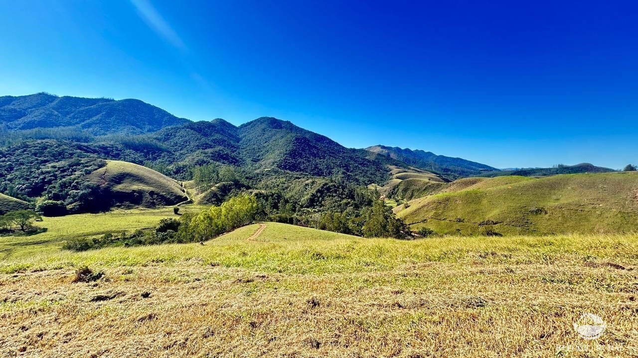 Chácara, 10 hectares - Foto 35