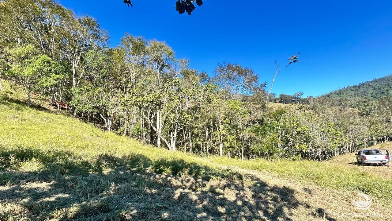Chácara, 10 hectares - Foto 45