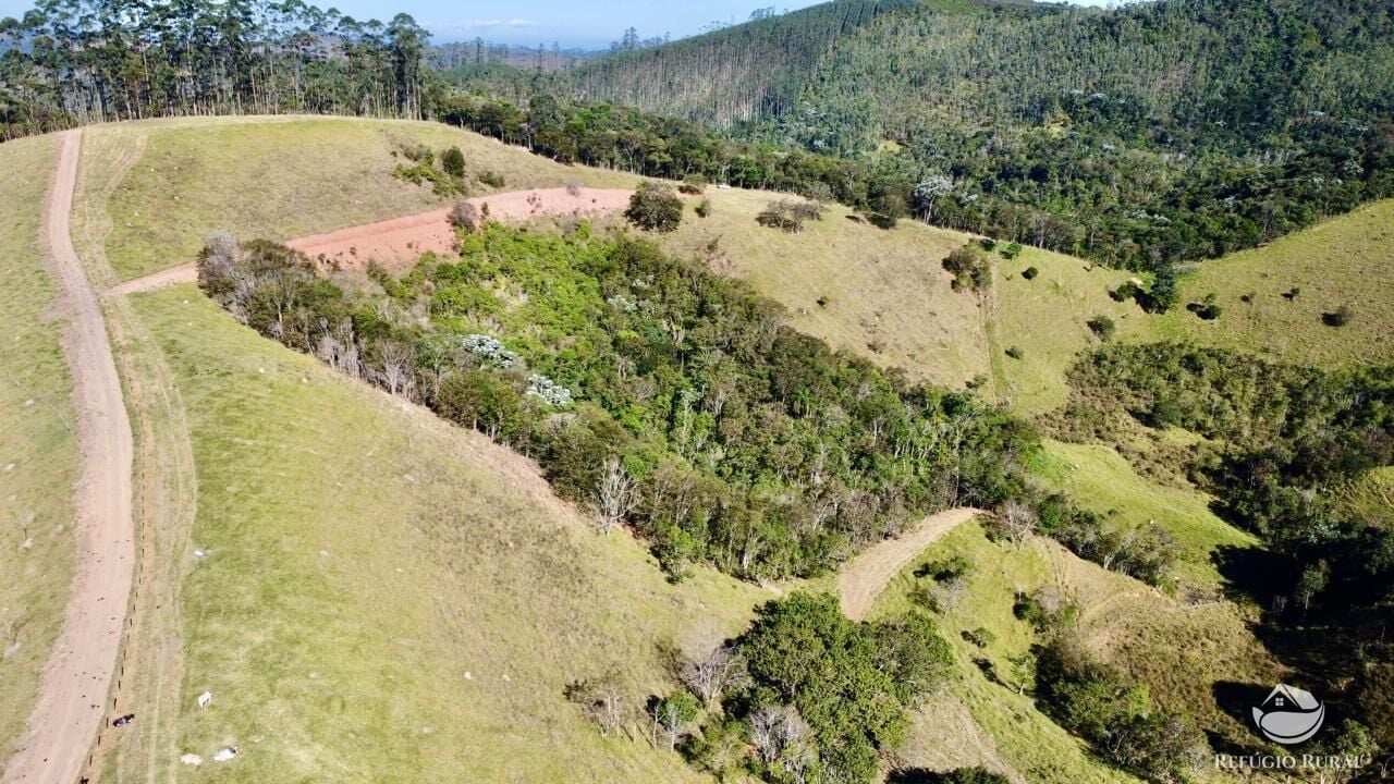 Chácara, 10 hectares - Foto 28
