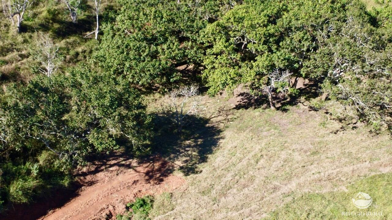 Chácara, 10 hectares - Foto 13