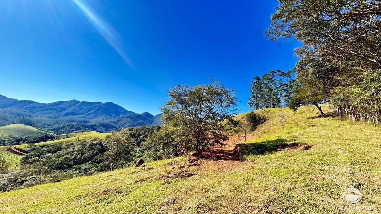 Chácara, 10 hectares - Foto 34