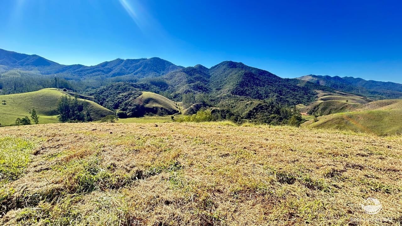 Chácara, 10 hectares - Foto 42
