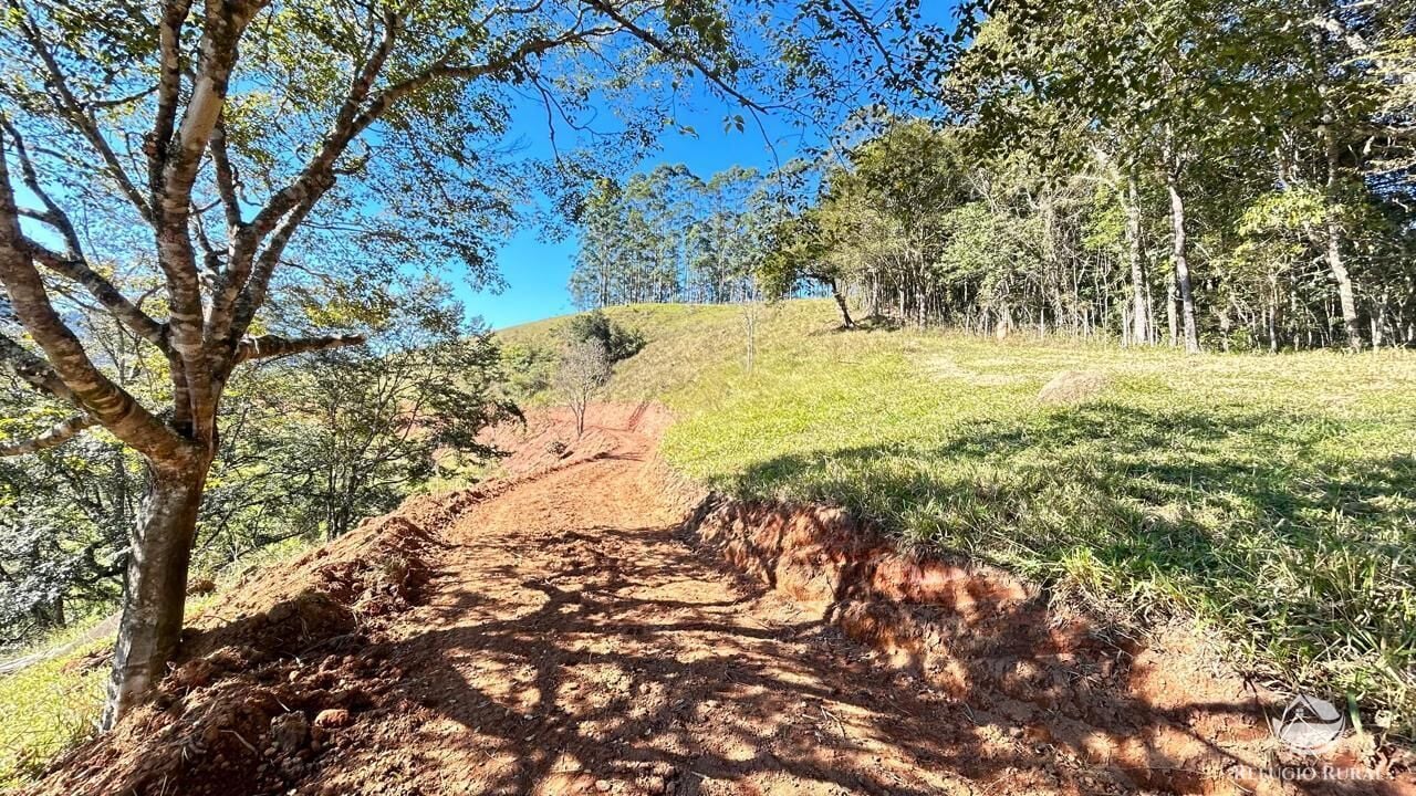 Chácara, 10 hectares - Foto 32