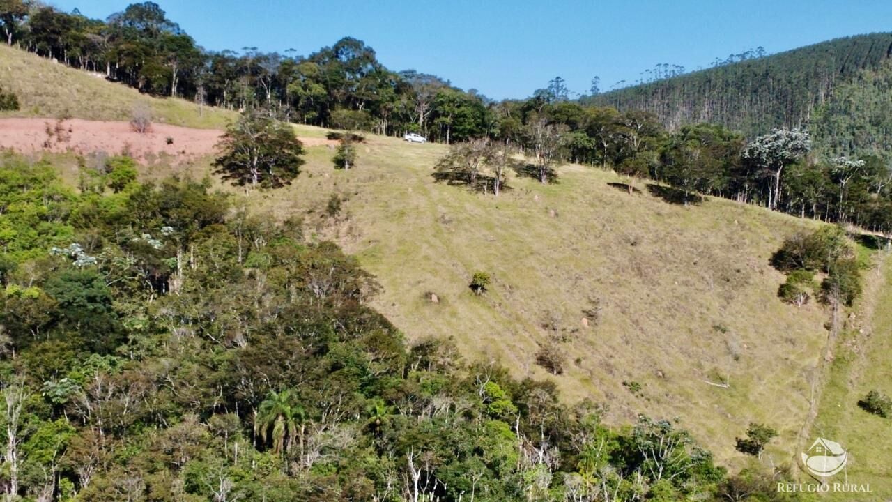 Chácara, 10 hectares - Foto 11