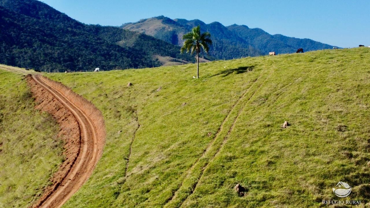 Chácara, 10 hectares - Foto 12