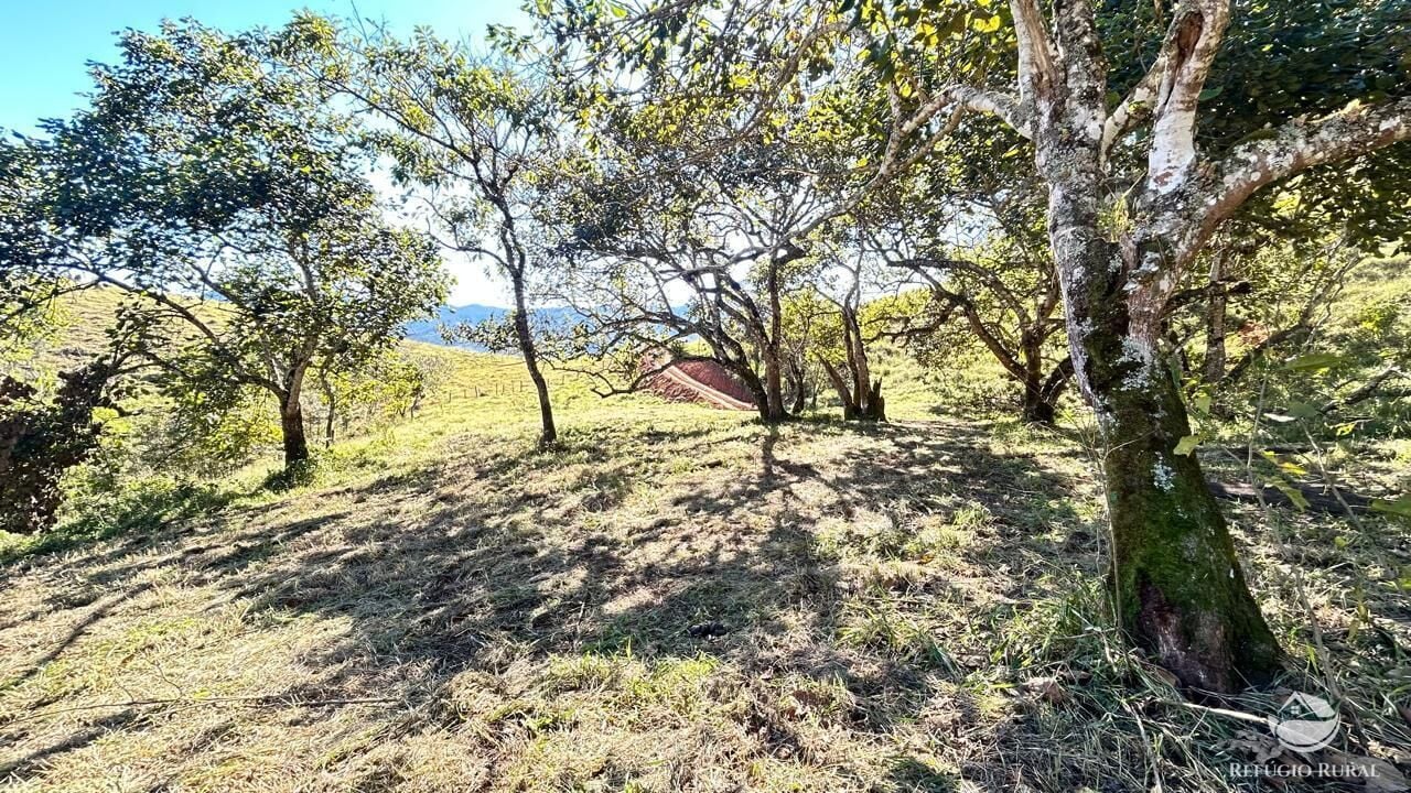 Chácara, 10 hectares - Foto 48