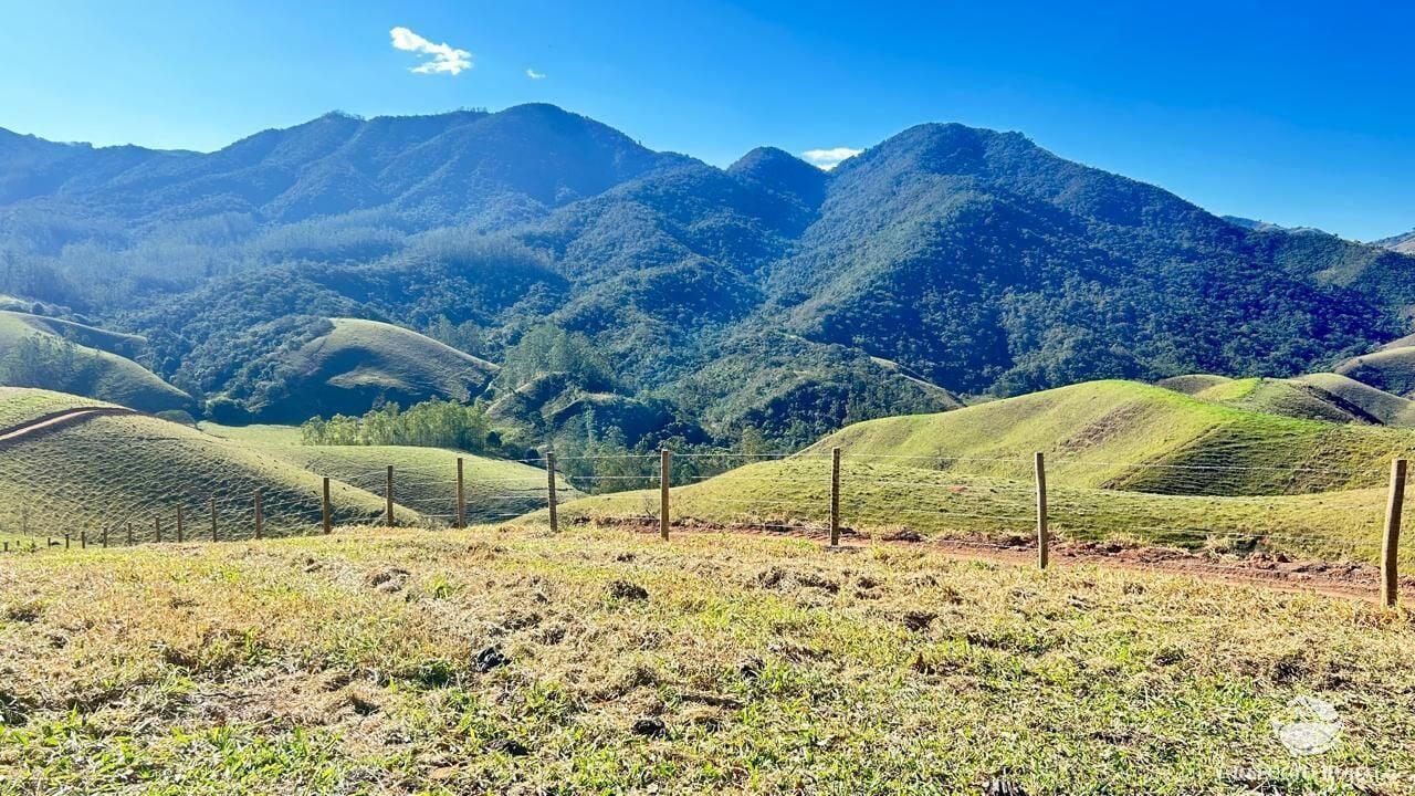 Chácara, 10 hectares - Foto 8