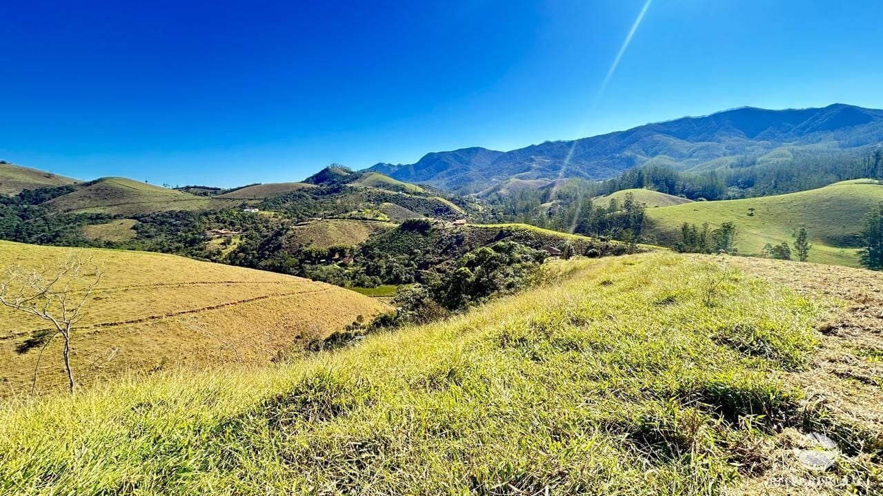 Chácara, 10 hectares - Foto 40