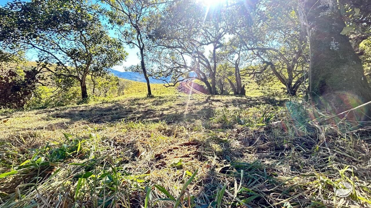 Chácara, 10 hectares - Foto 46