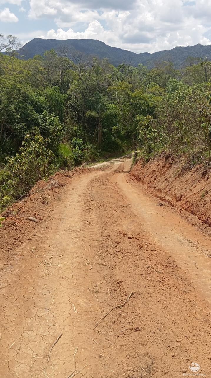 Terreno, 10000 m² - Foto 15