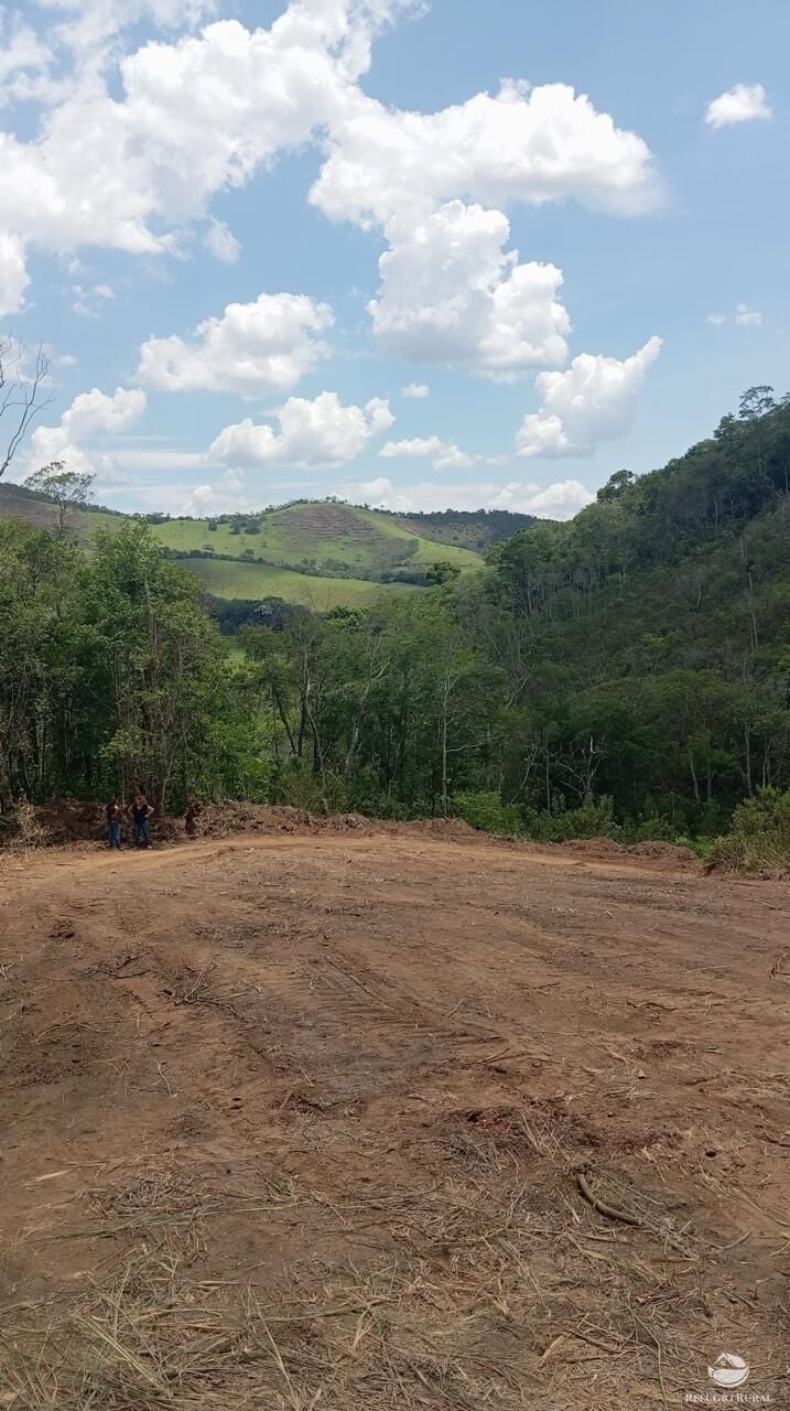 Terreno, 10000 m² - Foto 9