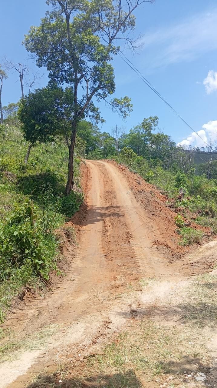 Terreno, 10000 m² - Foto 6
