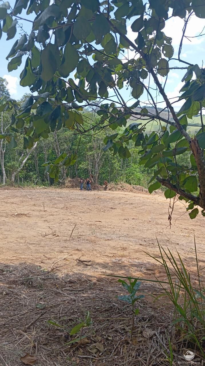 Terreno, 10000 m² - Foto 4