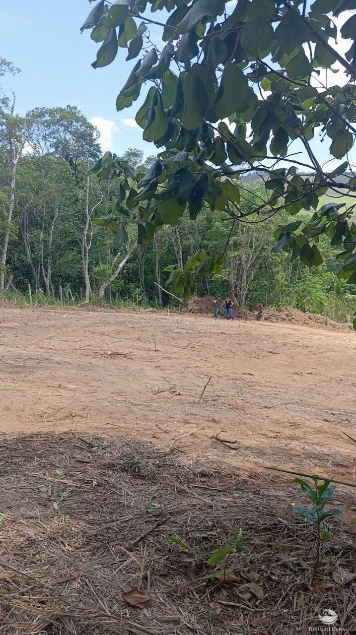 Terreno, 10000 m² - Foto 5