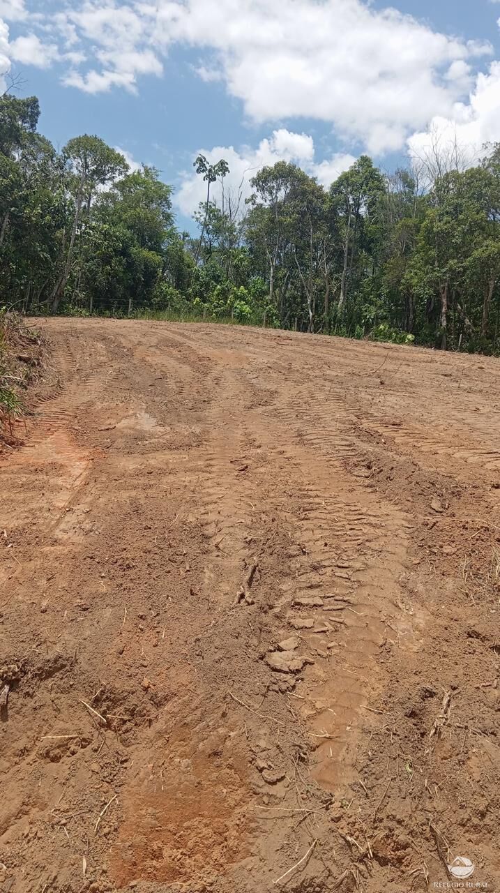 Terreno, 10000 m² - Foto 14