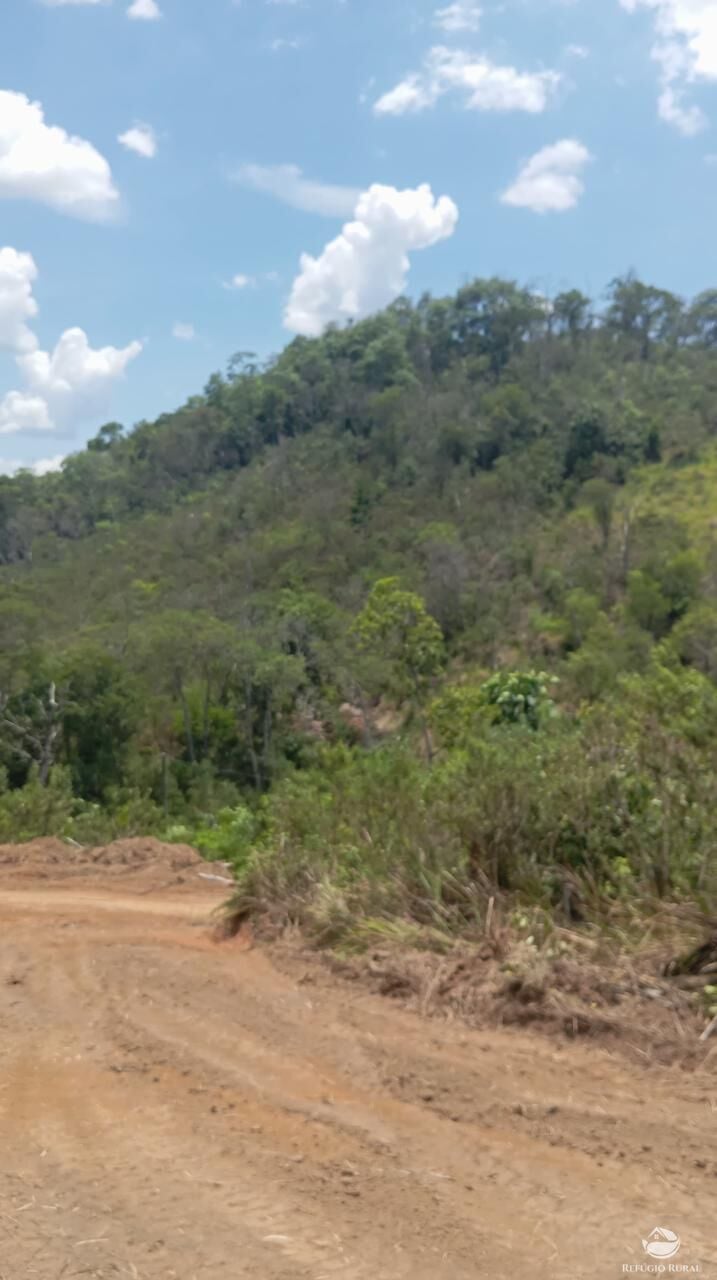 Terreno, 10000 m² - Foto 11