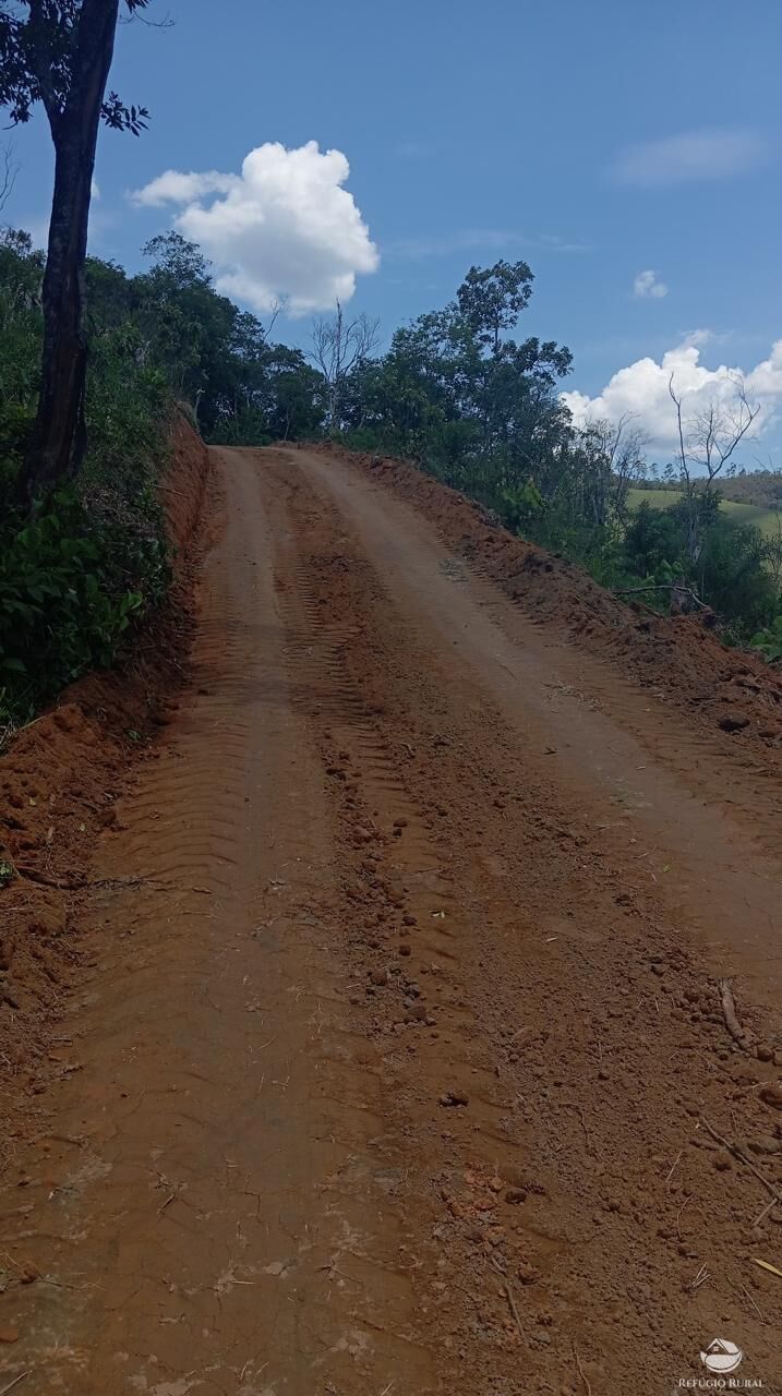 Terreno, 10000 m² - Foto 13