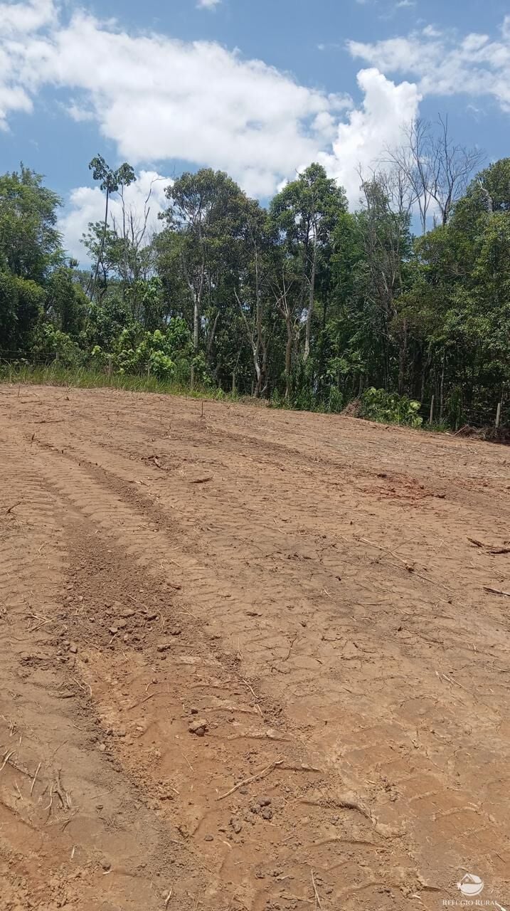 Terreno, 10000 m² - Foto 10