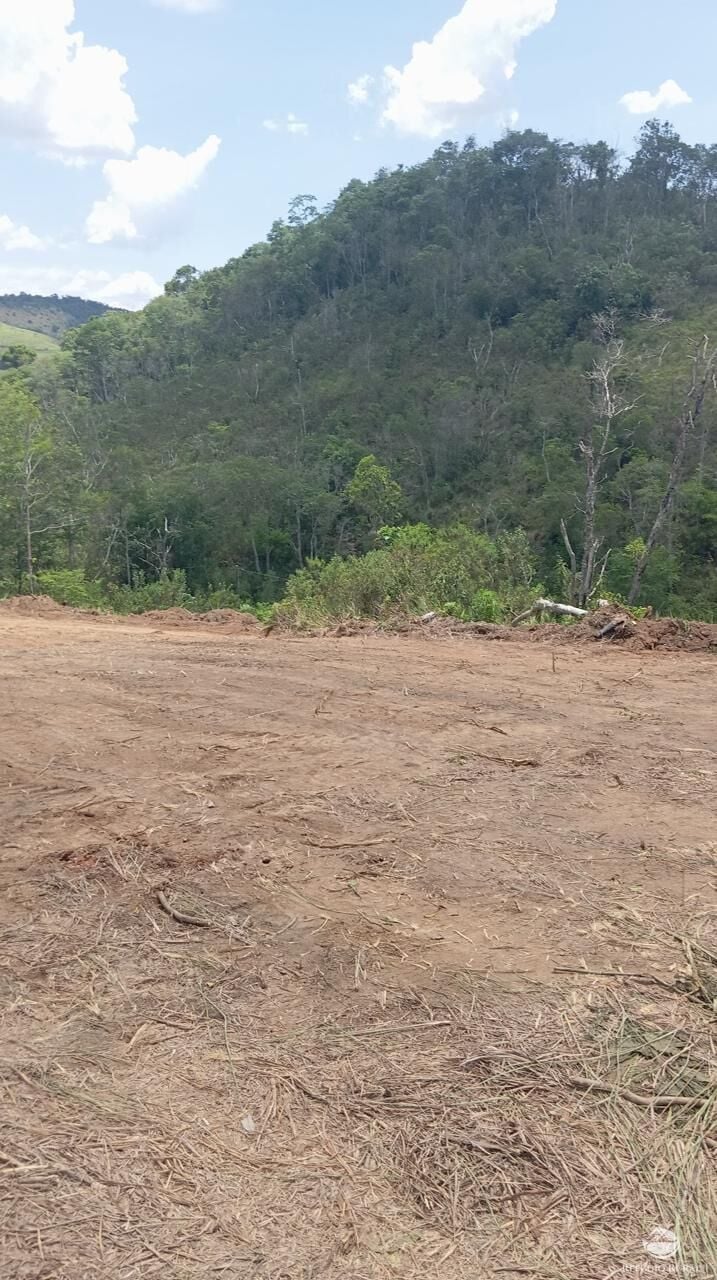 Terreno, 10000 m² - Foto 7