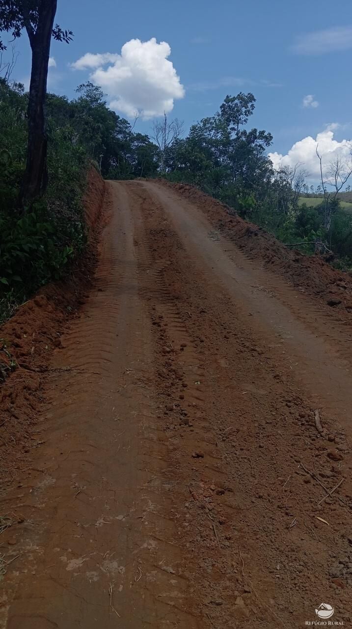 Terreno, 10000 m² - Foto 12