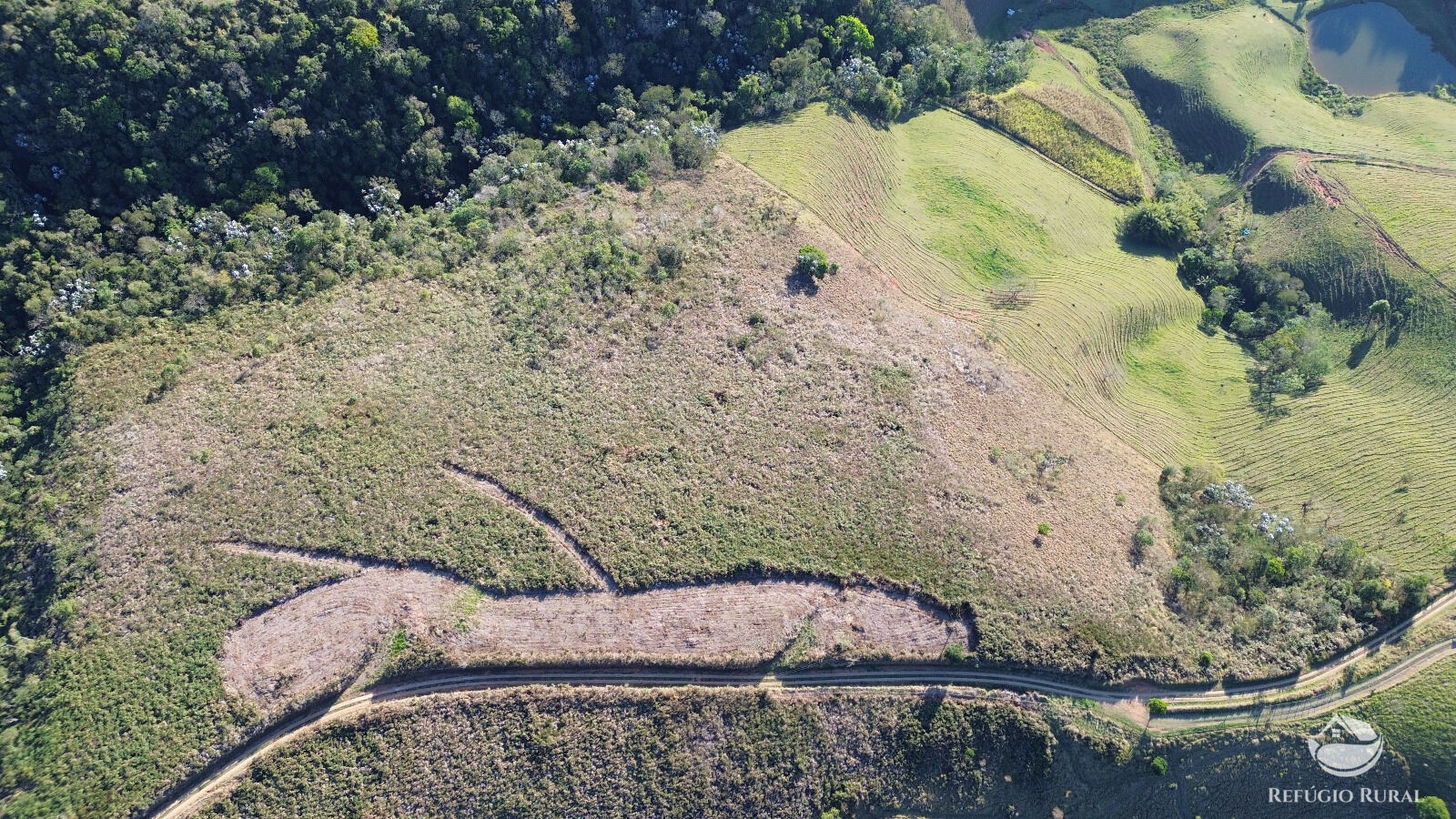 Chácara, 50 hectares - Foto 4