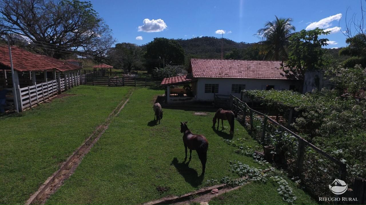 Fazenda, 940 hectares - Foto 7