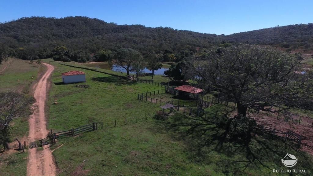 Fazenda, 940 hectares - Foto 6