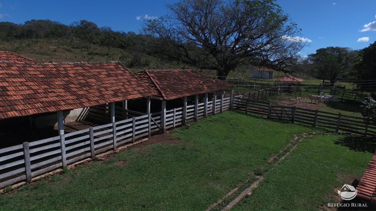 Fazenda, 940 hectares - Foto 5