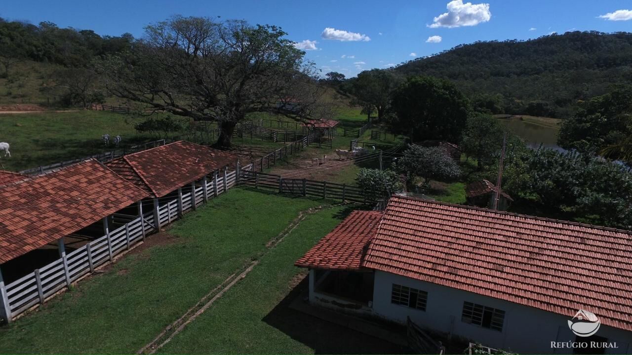 Fazenda, 940 hectares - Foto 4