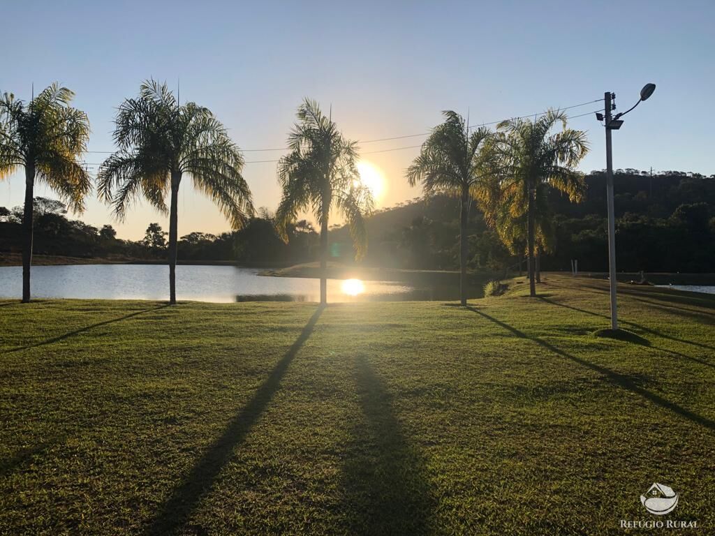Fazenda, 940 hectares - Foto 9