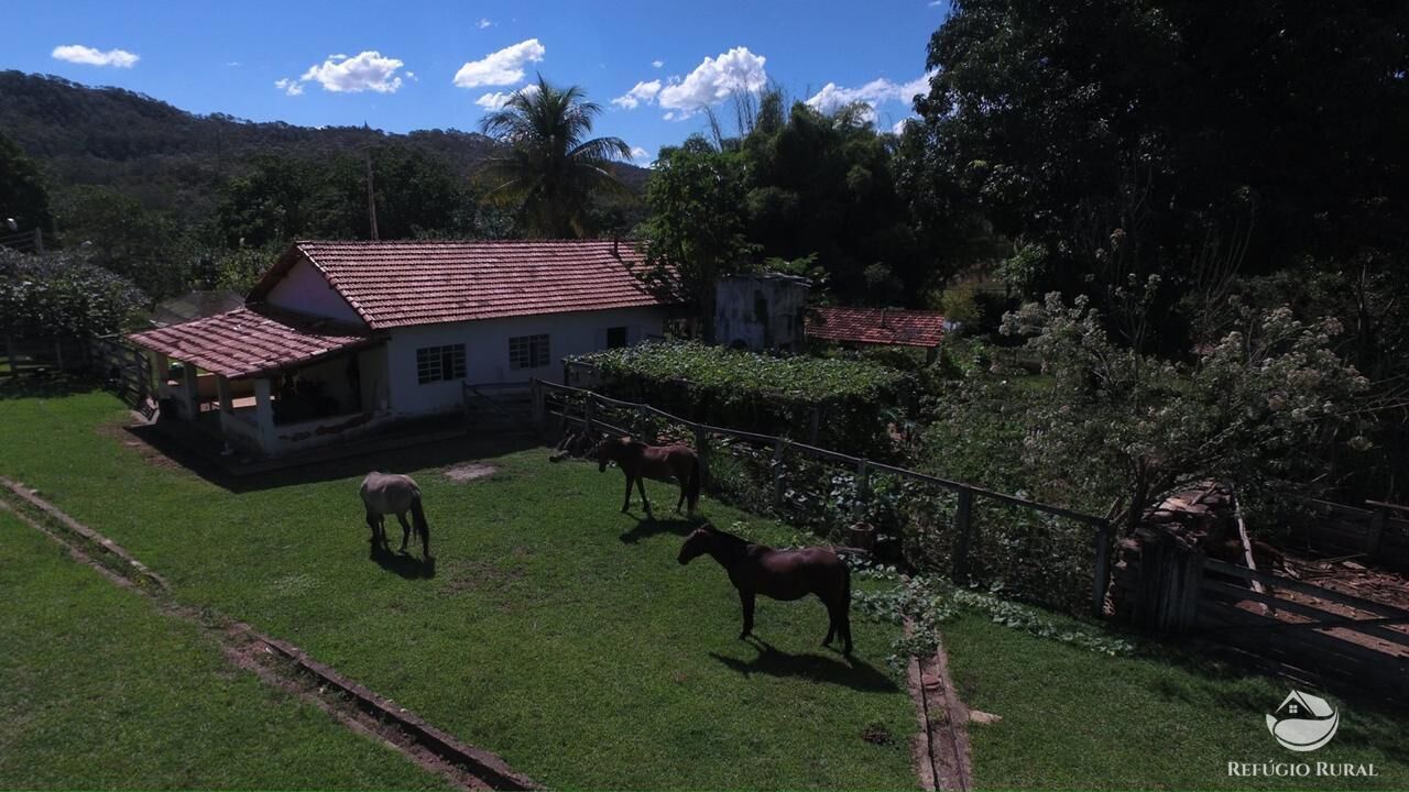 Fazenda, 940 hectares - Foto 8