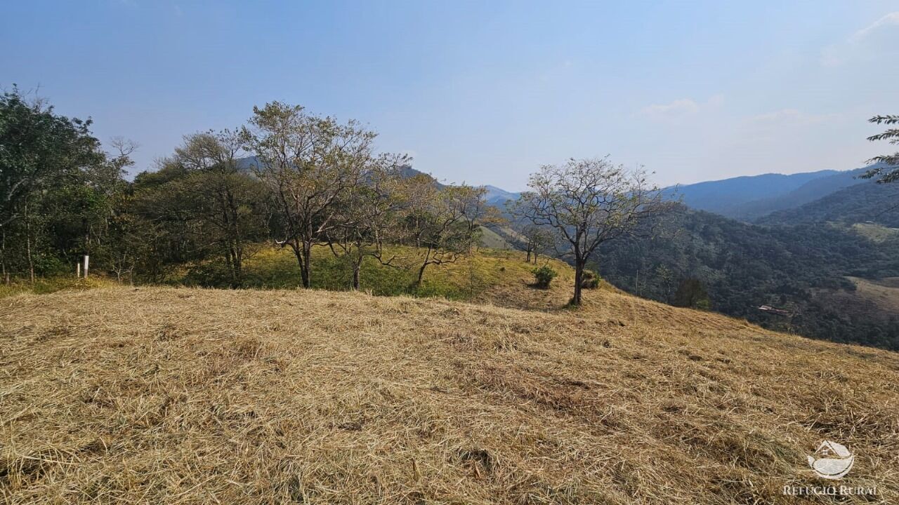 Terreno, 3 hectares - Foto 10