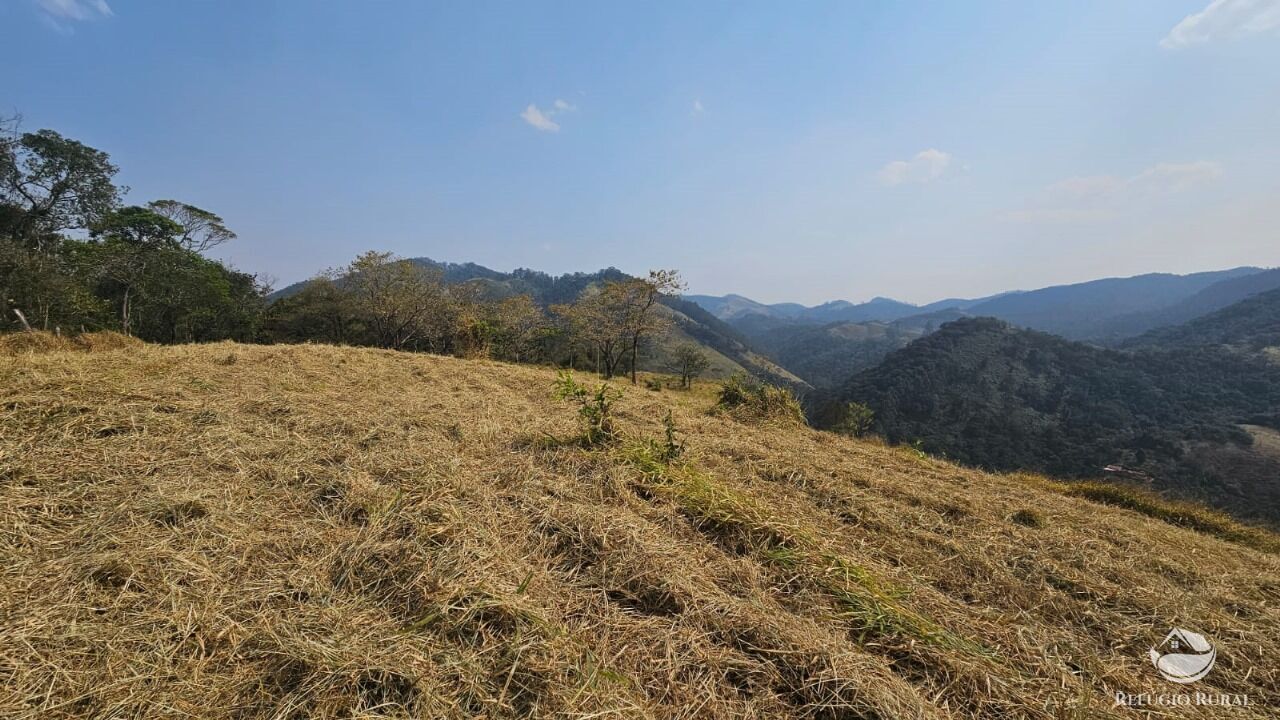 Terreno, 3 hectares - Foto 12