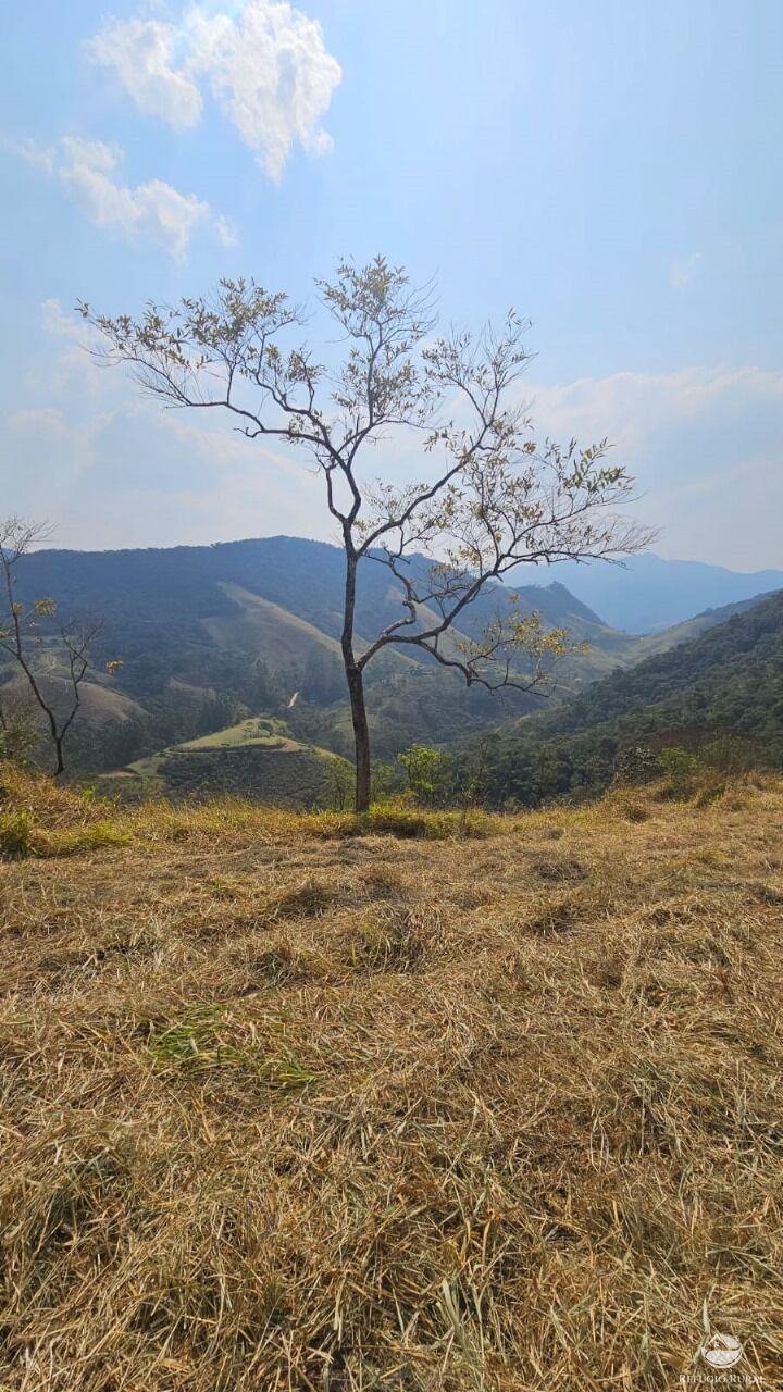 Terreno, 3 hectares - Foto 16