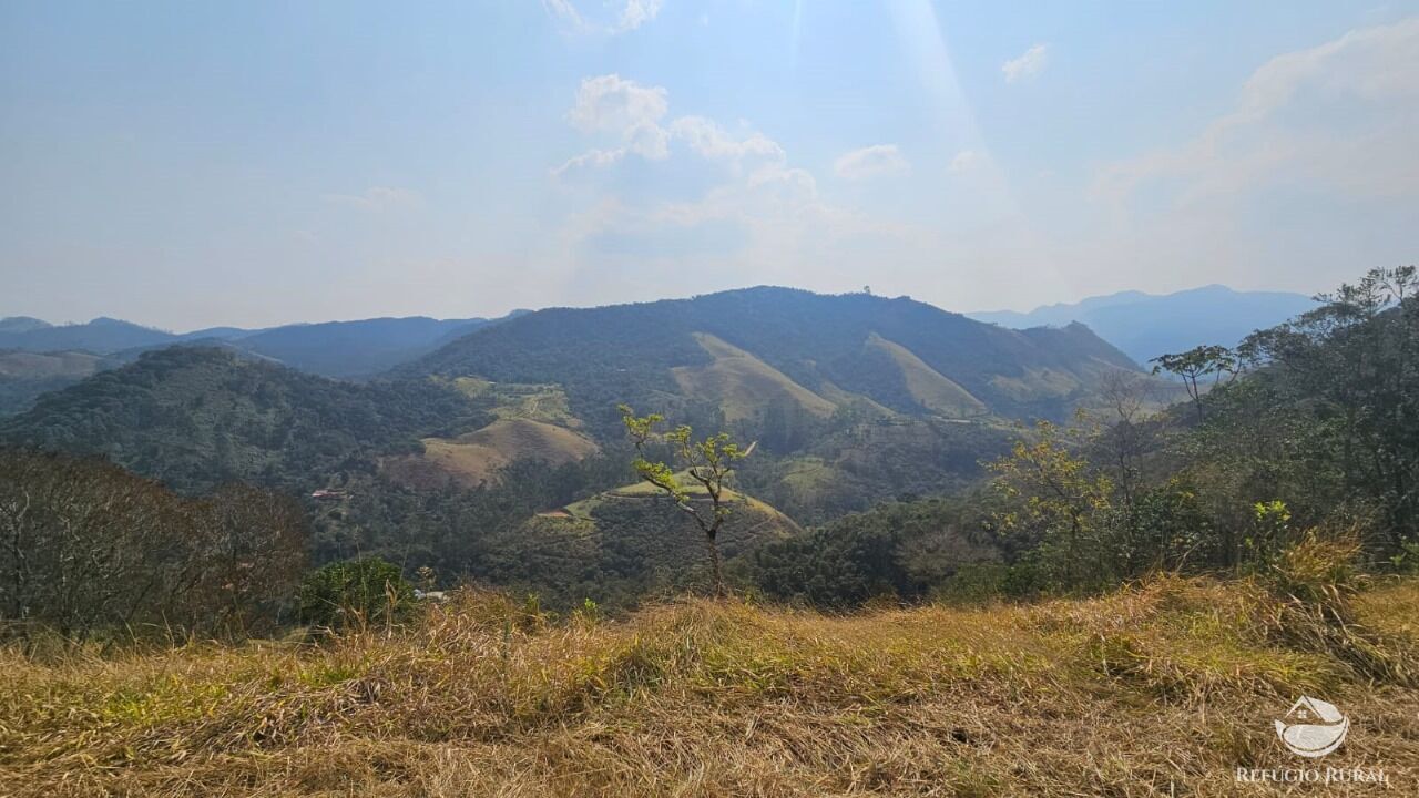 Terreno, 3 hectares - Foto 14