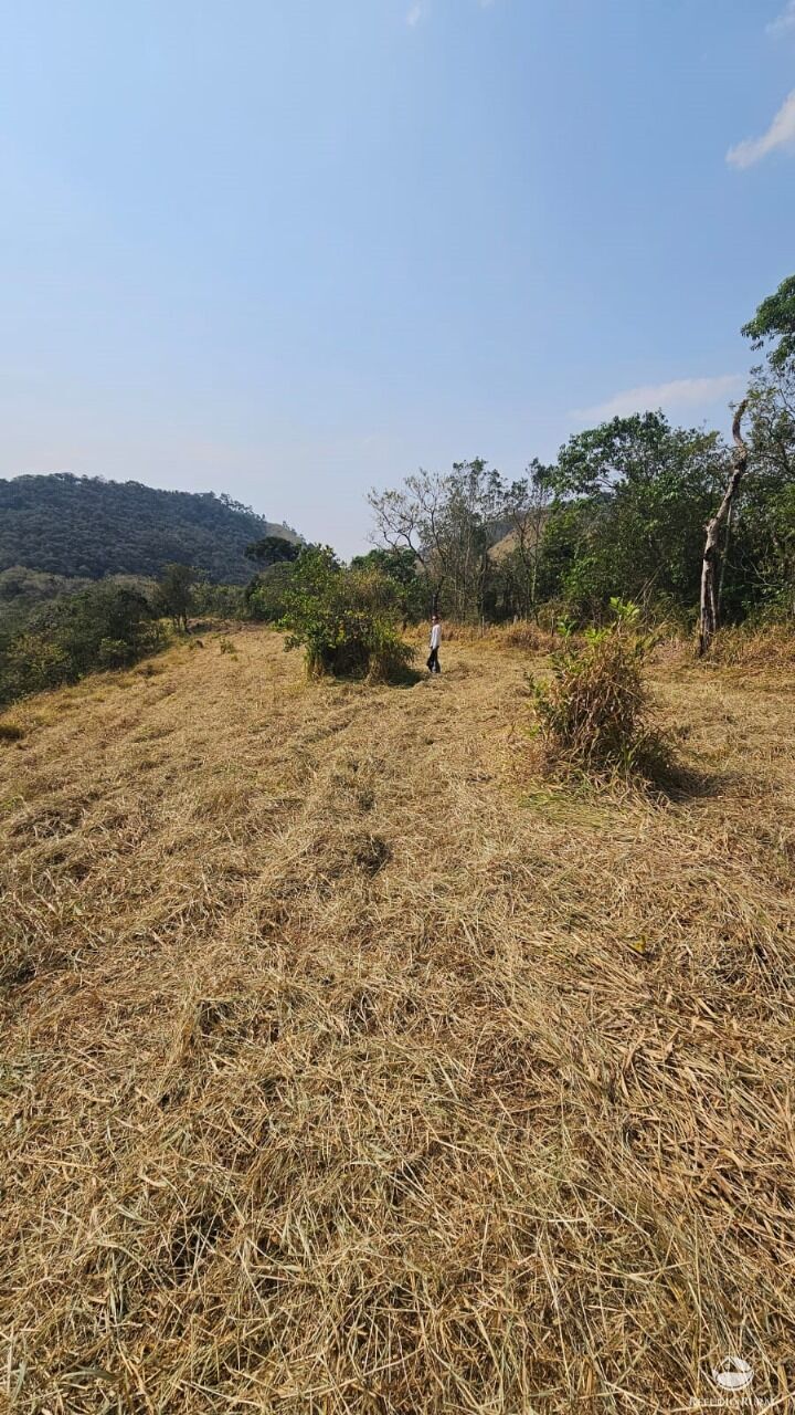 Terreno, 3 hectares - Foto 17