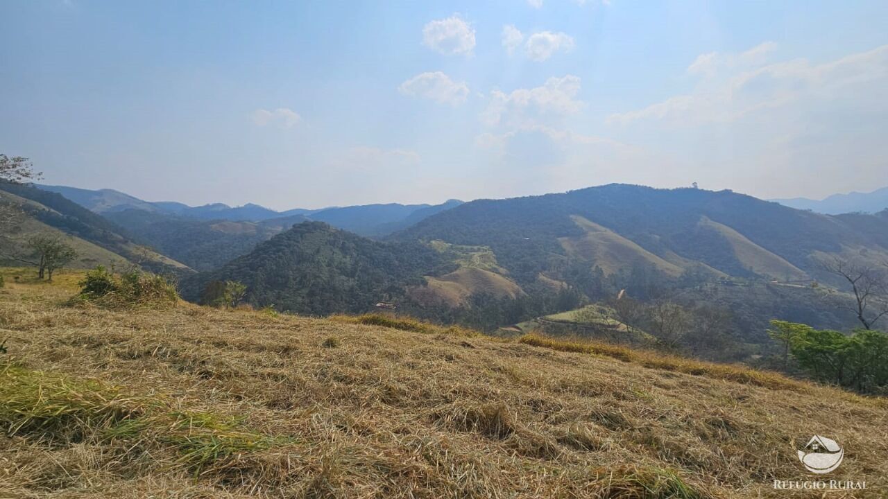 Terreno, 3 hectares - Foto 11