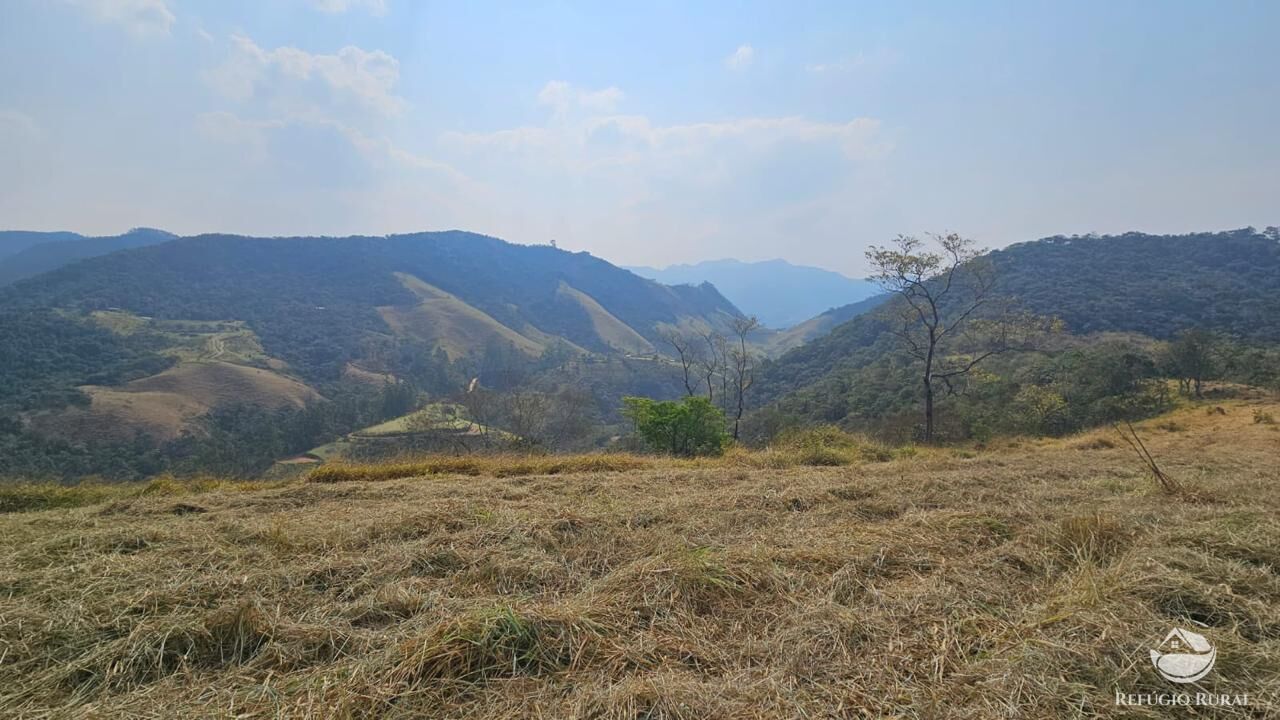 Terreno, 3 hectares - Foto 11