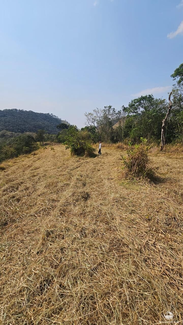 Terreno, 3 hectares - Foto 6