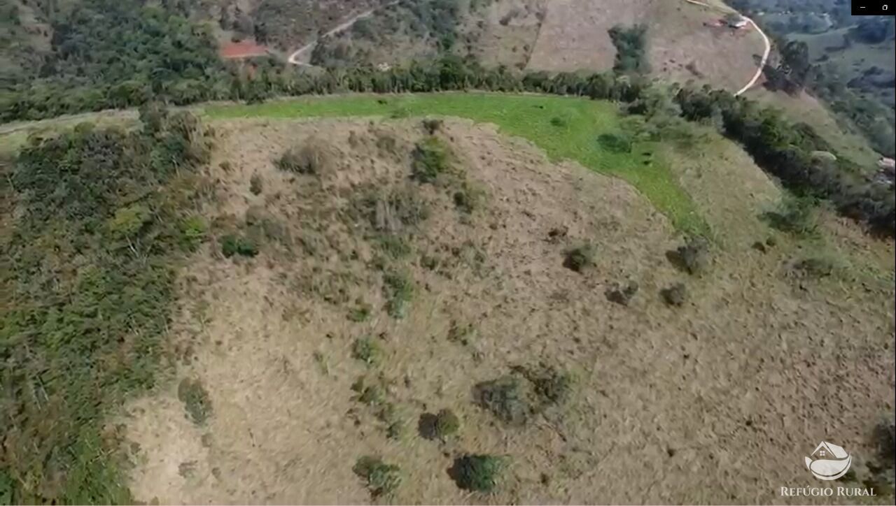 Terreno, 3 hectares - Foto 7