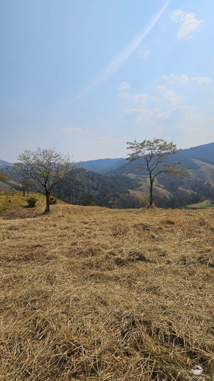 Terreno, 3 hectares - Foto 4