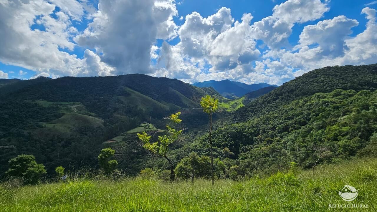 Terreno, 3 hectares - Foto 16