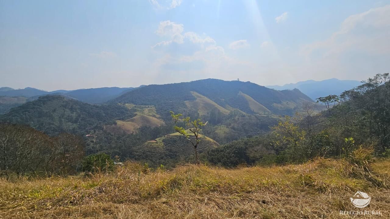 Terreno, 3 hectares - Foto 9