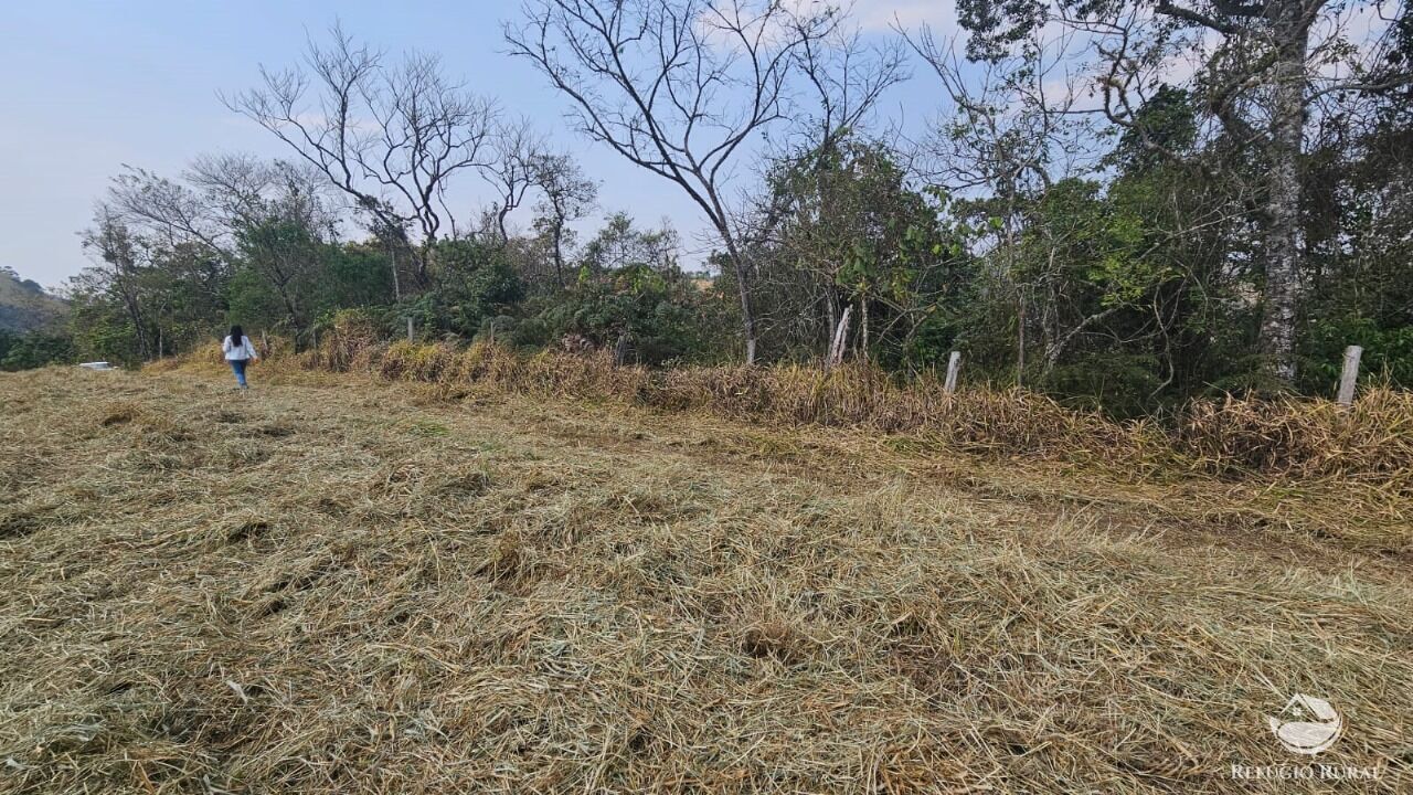 Terreno, 3 hectares - Foto 6