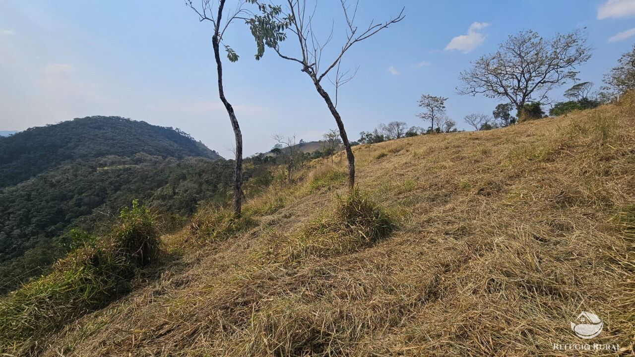 Terreno, 3 hectares - Foto 15