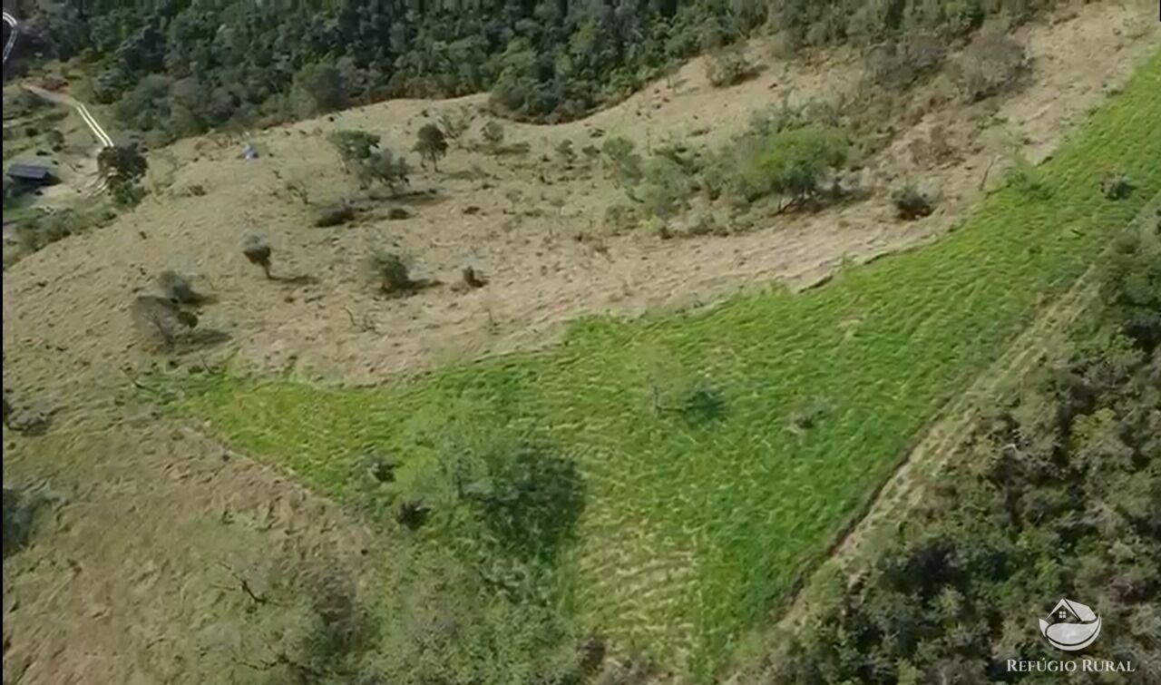 Terreno, 3 hectares - Foto 13