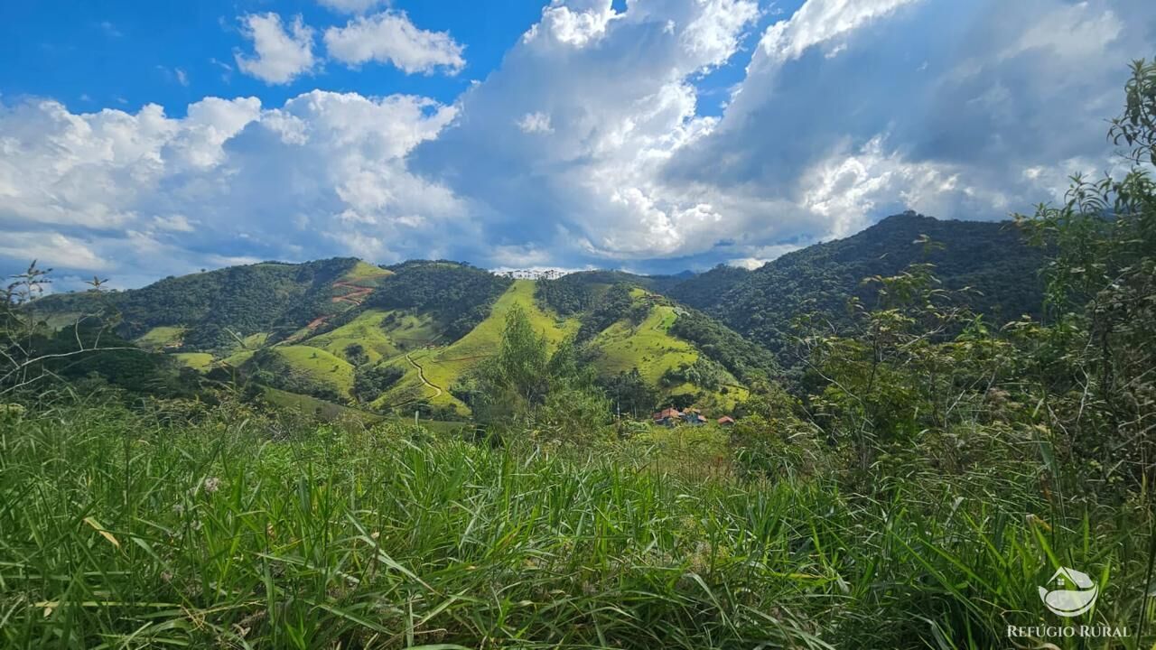 Terreno, 3 hectares - Foto 4