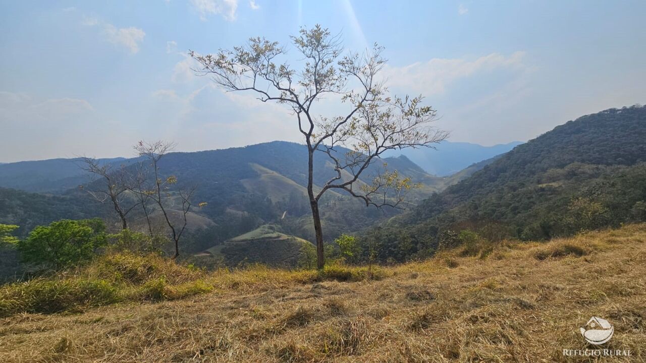 Terreno, 3 hectares - Foto 18